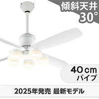 ⭐️全国送料無料】新品未使用　定価4.5万　天井　照明　シーリング　ファン　ライト 楽天市場】【豪華特典2個付き】シーリングファンライト 6灯 LED対応
