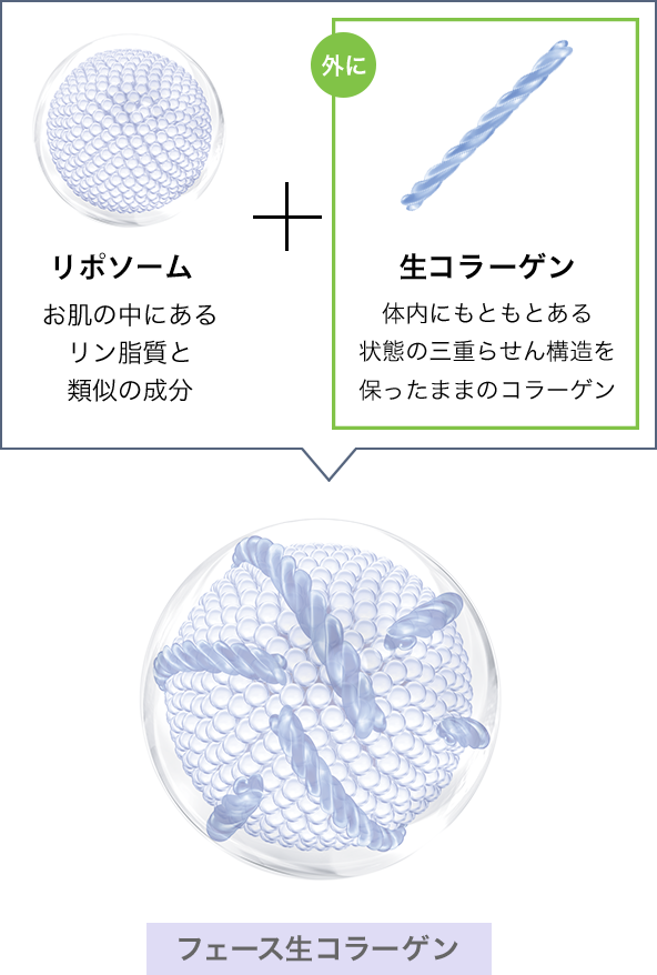 特許取得｜フェースグループについて｜肌結果を約束する フェース