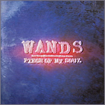 WANDS （ワンズ） - ピース・オブ・マイ・ソウル JBCJ-1002/中古CD
