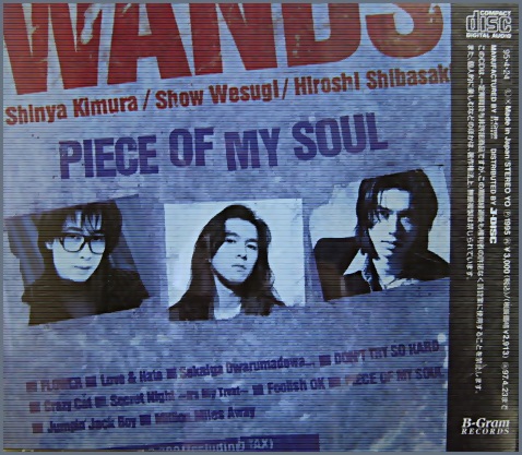 WANDS （ワンズ） - ピース・オブ・マイ・ソウル JBCJ-1002/中古CD