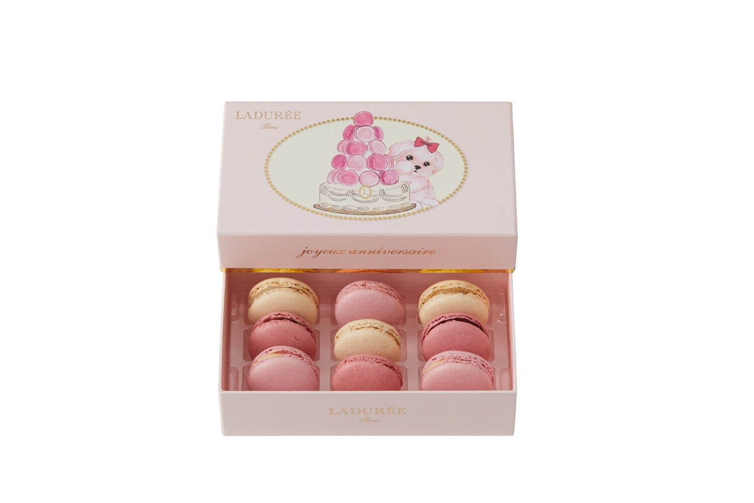 ラデュレ 「チワワ＆マルチーズ」の限定マカロンボックス、ヴァニラ
