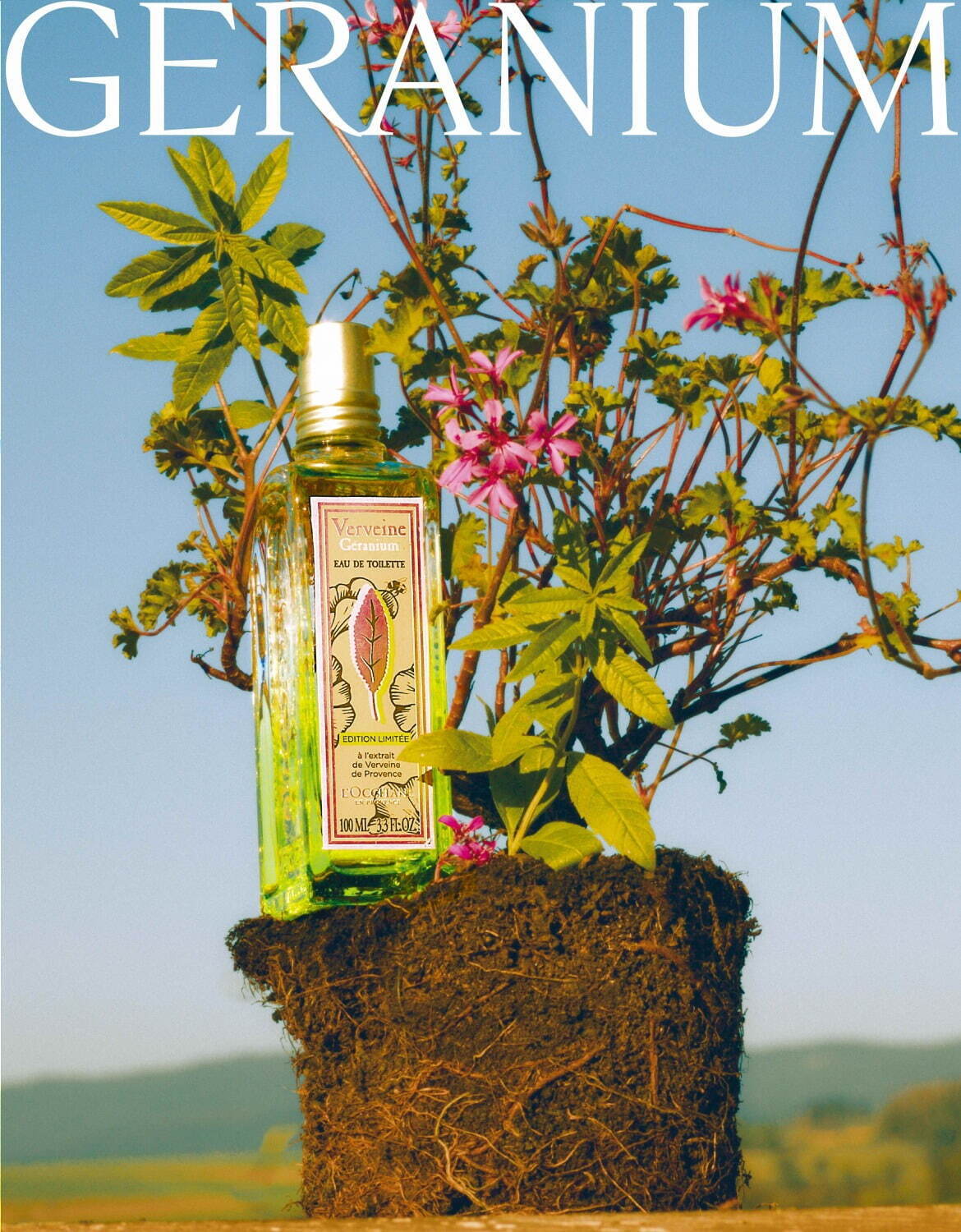 ロクシタン「ゼラニウムヴァーベナ」24年秋ボディケア、“柑橘香る