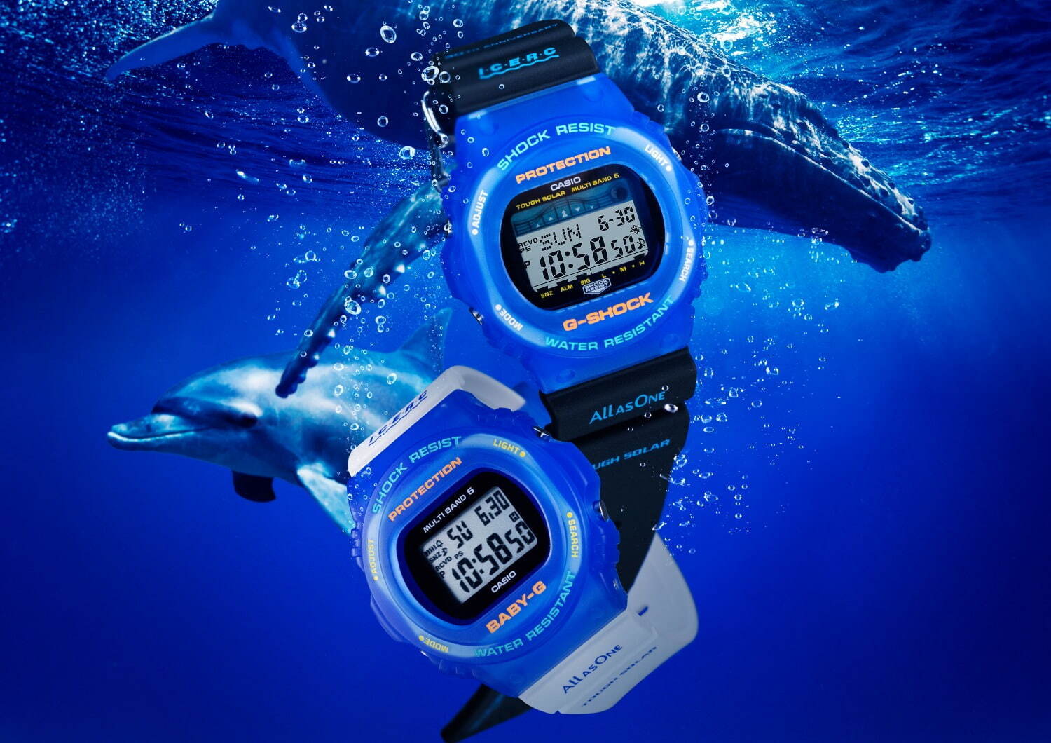 G-SHOCK&BABY-G“イルカ・クジラ”腕時計、イルカたちが浮かぶバック