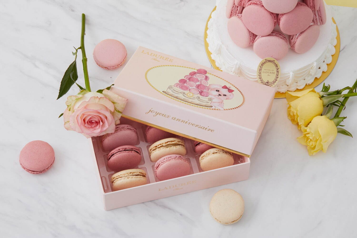 ラデュレ 「チワワ＆マルチーズ」の限定マカロンボックス、ヴァニラ