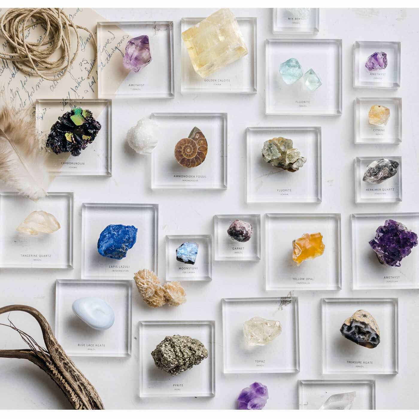 地球のかけらに思いを馳せる 一期一会の鉱物コレクションの会｜SeeMONO