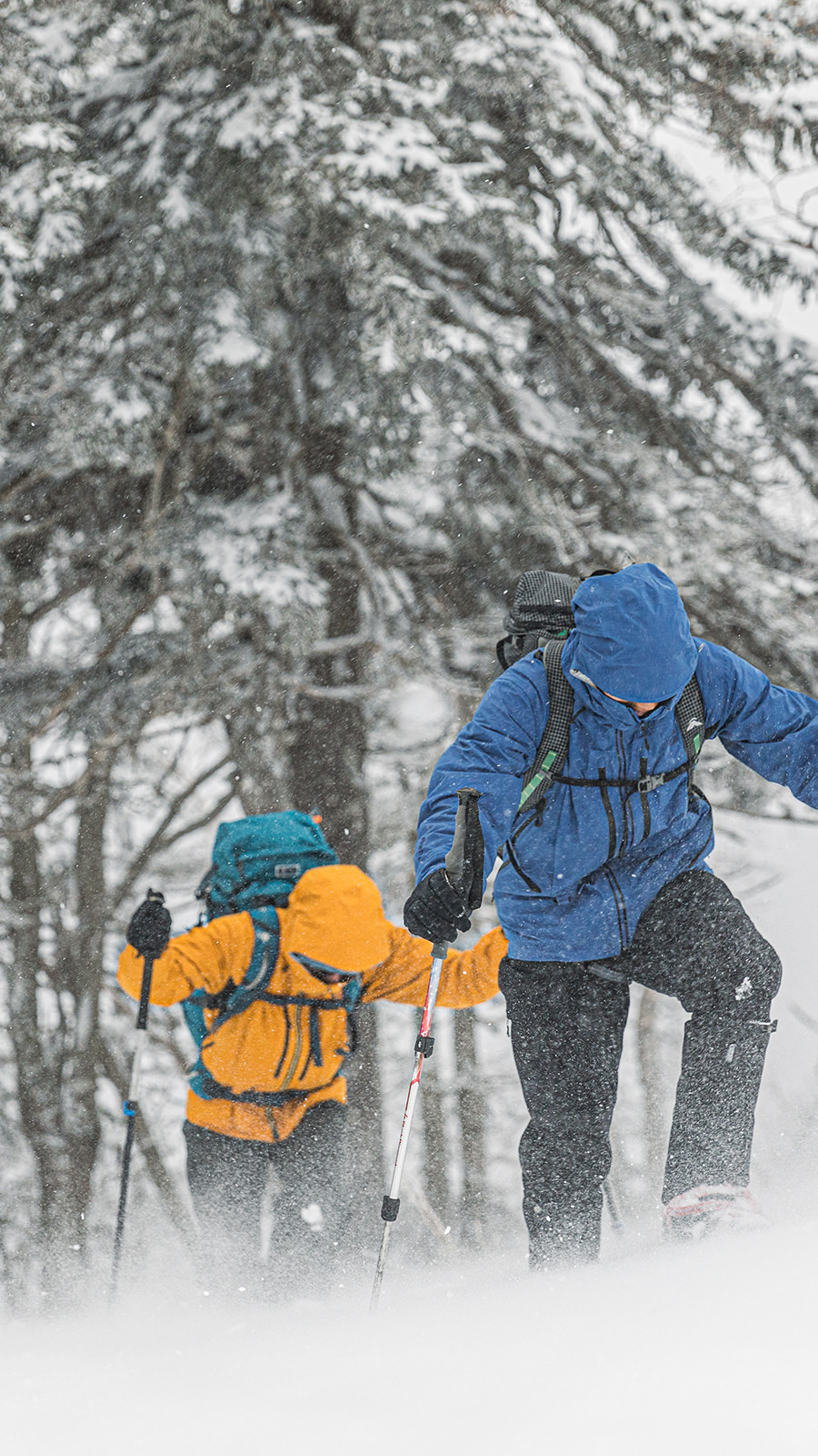 finetrack FALL / WINTER COLLECTION 2024｜Outdoor Wear/Gear