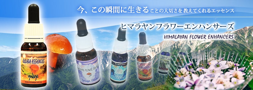 ヒマラヤンエンハンサーズ,タントリックナイト フォー ウーマン / マン