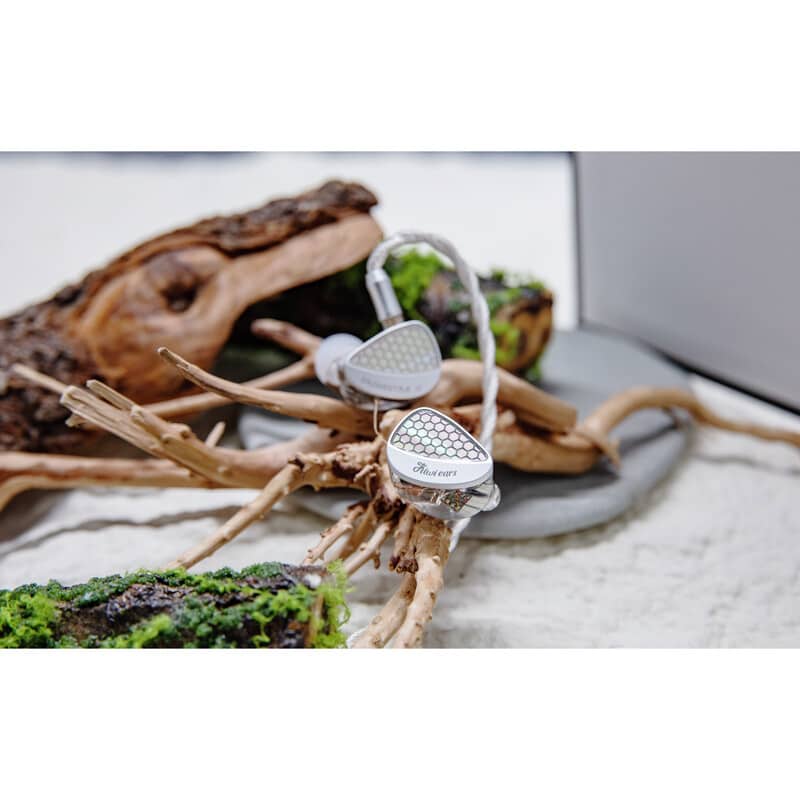 Kiwi Ears Orchestra II 新品｜フジヤエービック