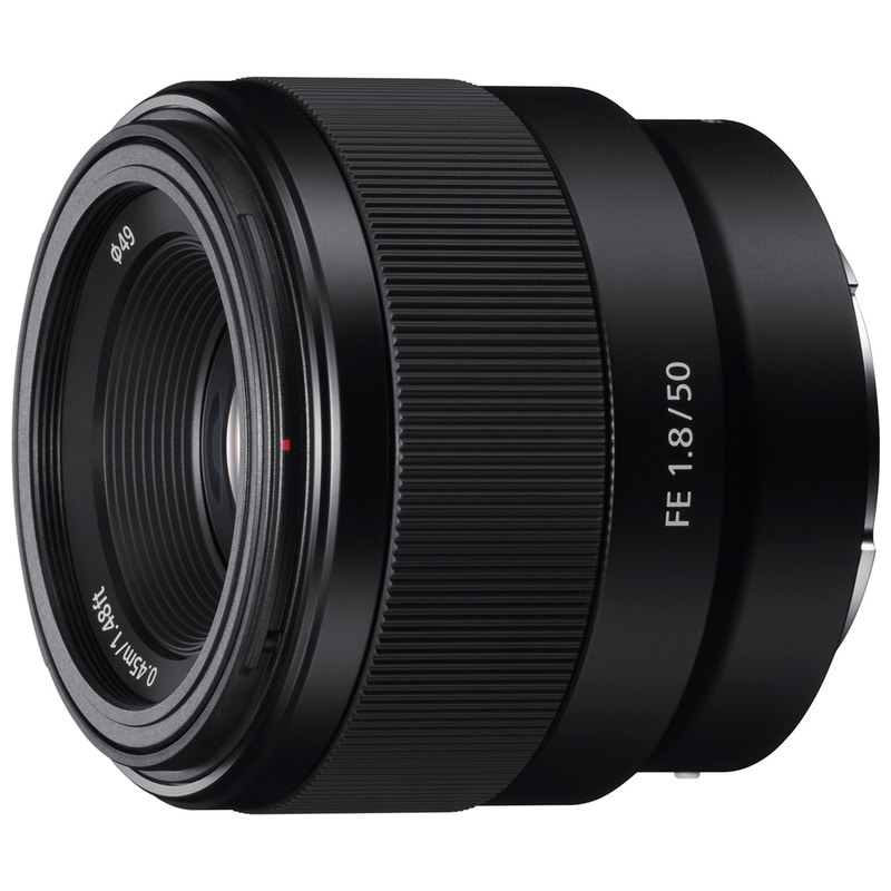 SONY FE 50mm F1.8 SEL50F18F 新品｜フジヤカメラ