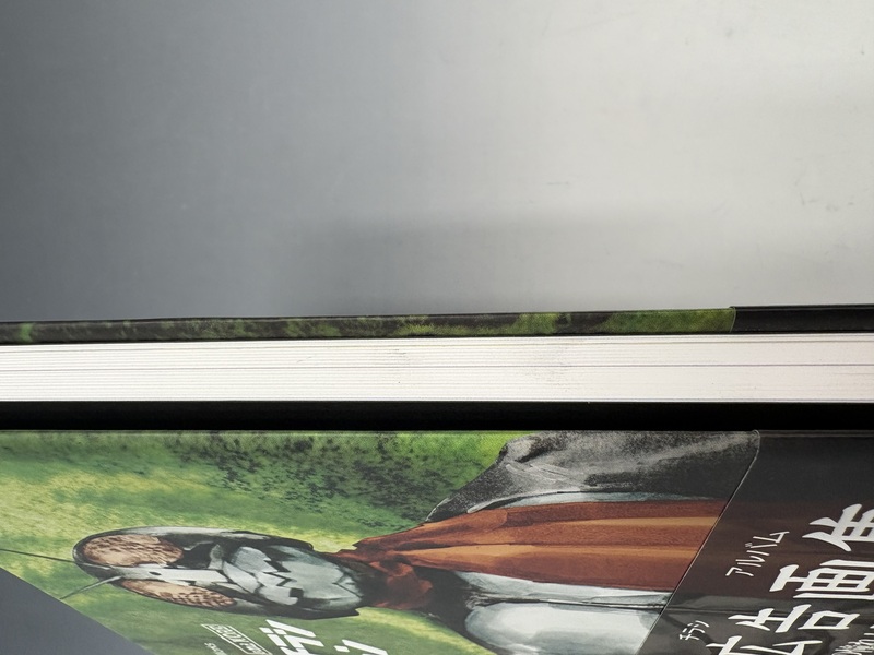 古書 ］仮面ライダー and more フェイクチラシ コレクション（菅原芳人