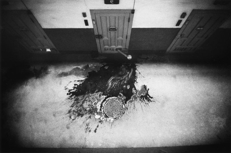 王国 Domains（奈良原一高）』 販売ページ | 復刊ドットコム