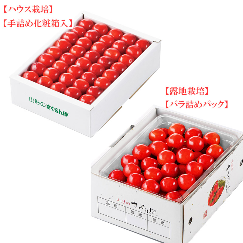 ジェイエイてんどうフーズ（くだもの） 山形県産佐藤錦 くだもの | G