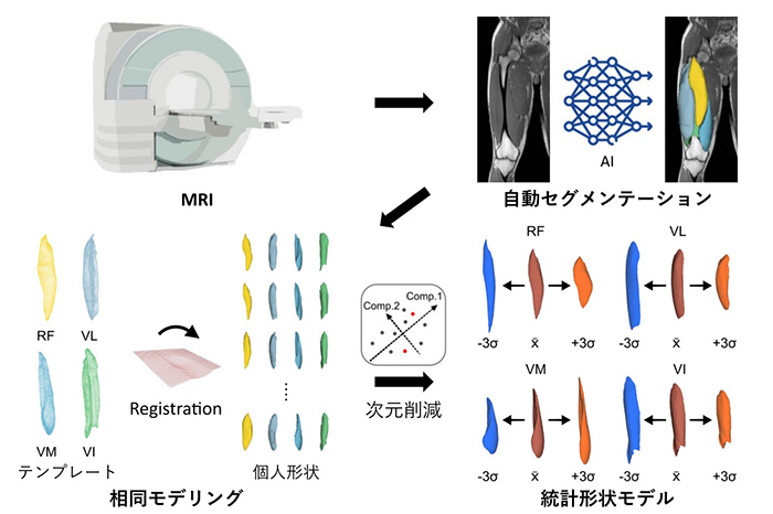 運動器理学療法分野 |関西医科大学