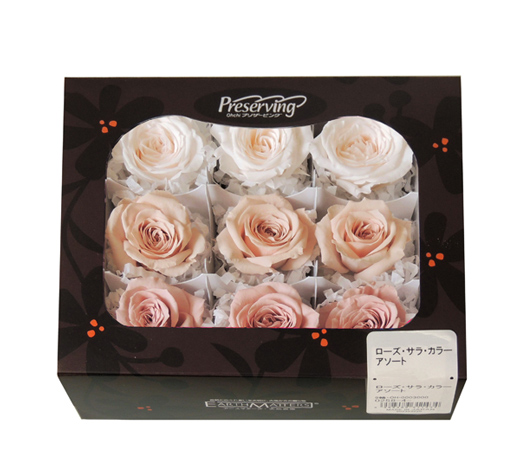 大地農園・サラ・カラーアソート・ブルーミックス9輪 | プリザーブド