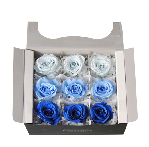 大地農園・サラ・カラーアソート・ブルーミックス9輪 | プリザーブド