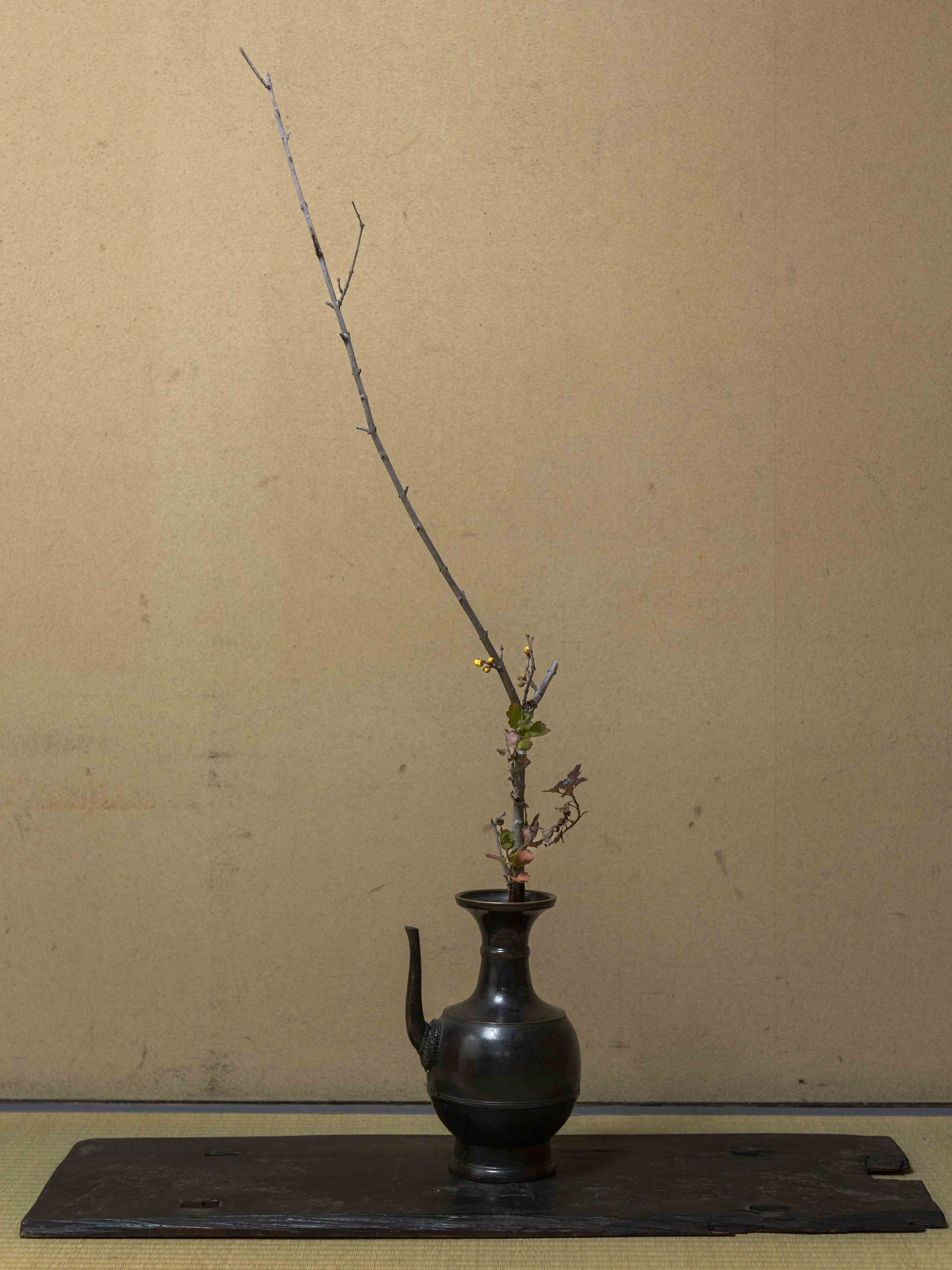 24 布薩形水瓶 | 花と器と 高木孝 | ブログ | 工芸青花 kogei-seika