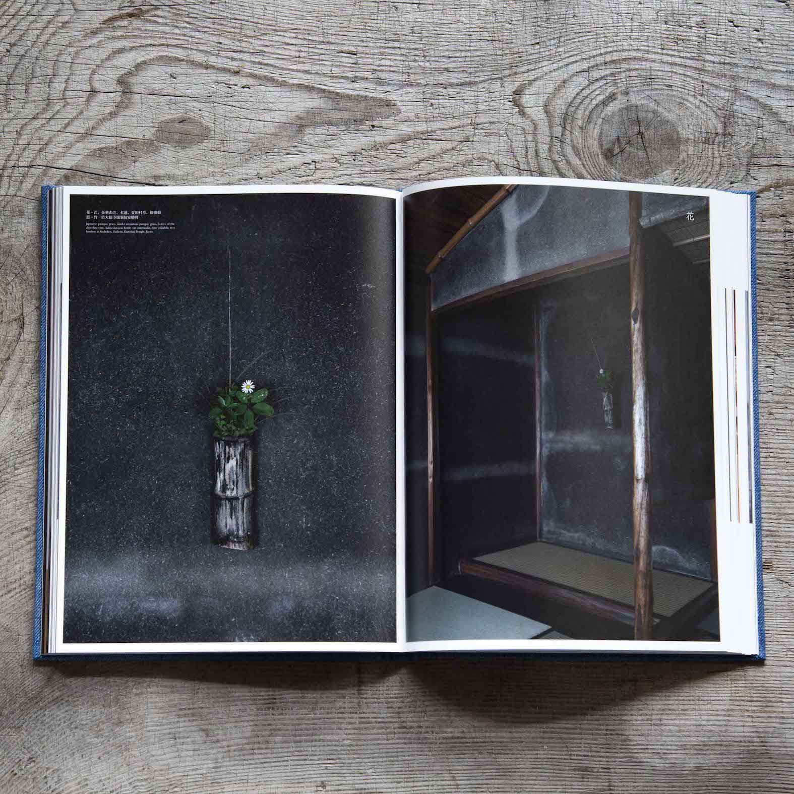 工芸青花 16号 | 本 | 工芸青花 kogei-seika