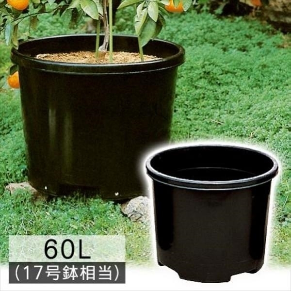 国華園オンラインショップ / ビッグ鉢60L型 黒 20個1組