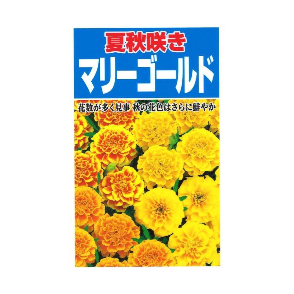夏秋咲きマリーゴールド の通販 | ホームセンター コメリドットコム