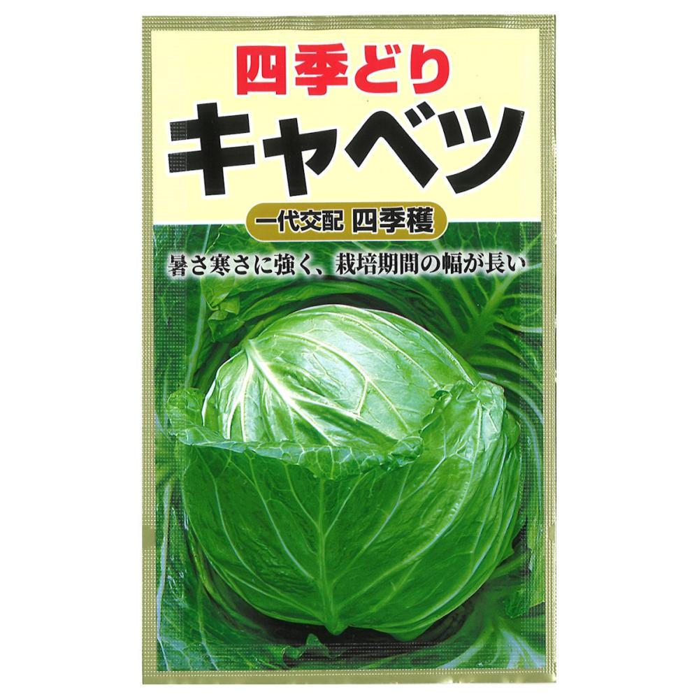キャベツ種子 四季どりキャベツ の通販 | ホームセンター コメリドットコム