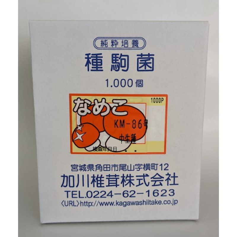 宅配専用】 なめこ 種駒 KM－86号 中生種 1000駒 の通販