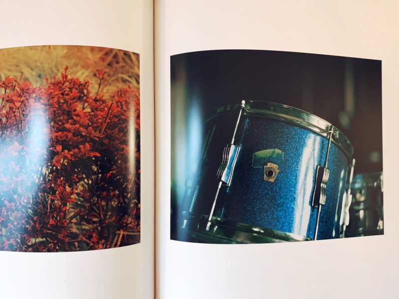 佐内正史写真集 生きている ｜ 青幻舎 ｜ 写真集 | 古本・版画・骨董の