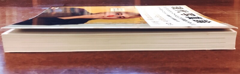 現代写真論 コンテンポラリーアートとしての写真のゆくえ ｜ 写真集