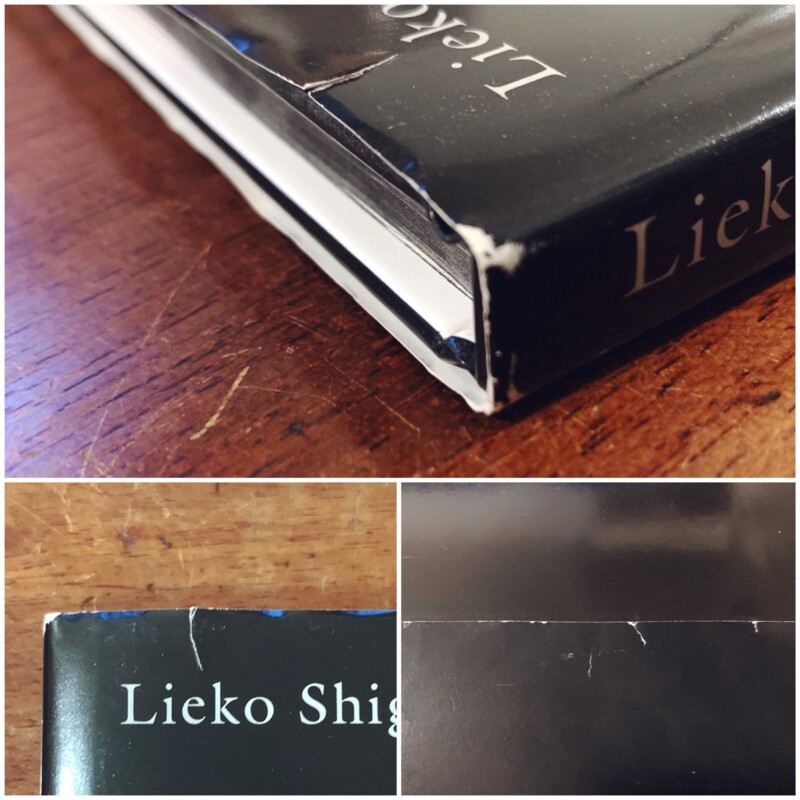 志賀理江子写真集 Lieko Siga： Lilly ｜ 写真集 | 古本・版画・骨董の