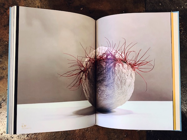 中川幸夫作品集 魔の山 ｜ 2003年・求龍堂 ｜ 前衛芸術・現代美術