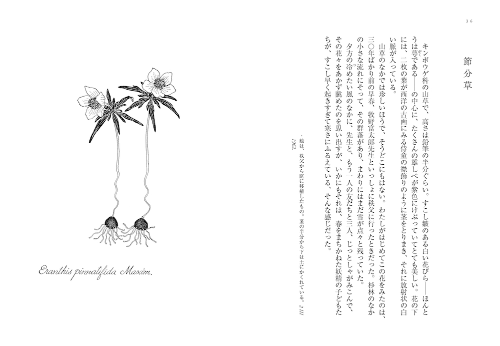 植物誌 :佐藤 達夫 | 河出書房新社