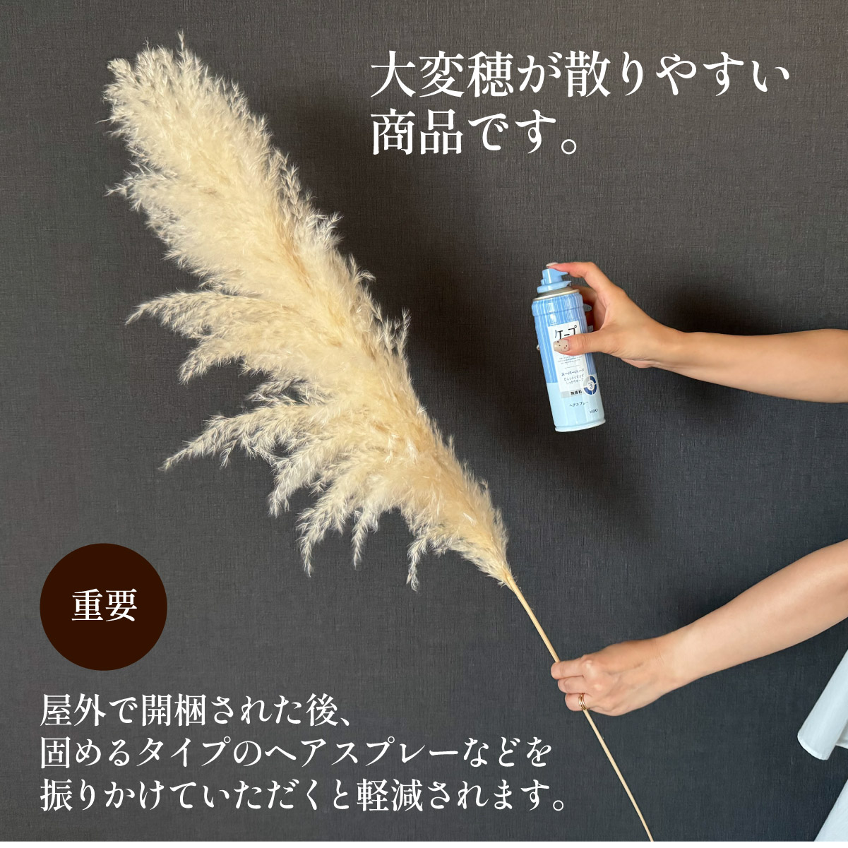 Pampas Grass(パンパスグラス) 110cm 6本セットの通販情報 - 家具通販