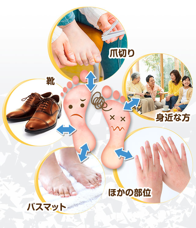 北の快適工房｜『クリアフットヴェール』