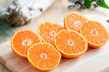 早生みかん | みかん大事典 | みかんのことなら「のま果樹園