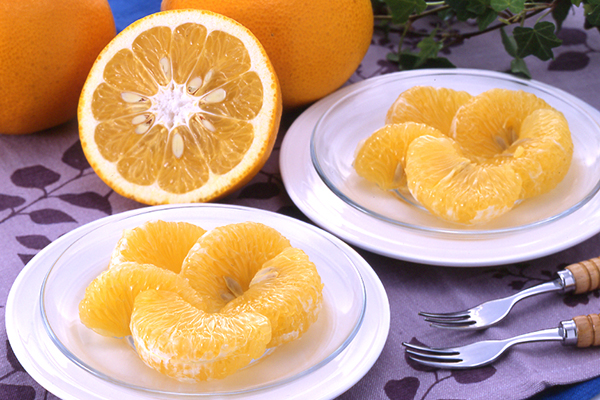 八朔（はっさく） | みかん大事典 | みかんのことなら「のま果樹園