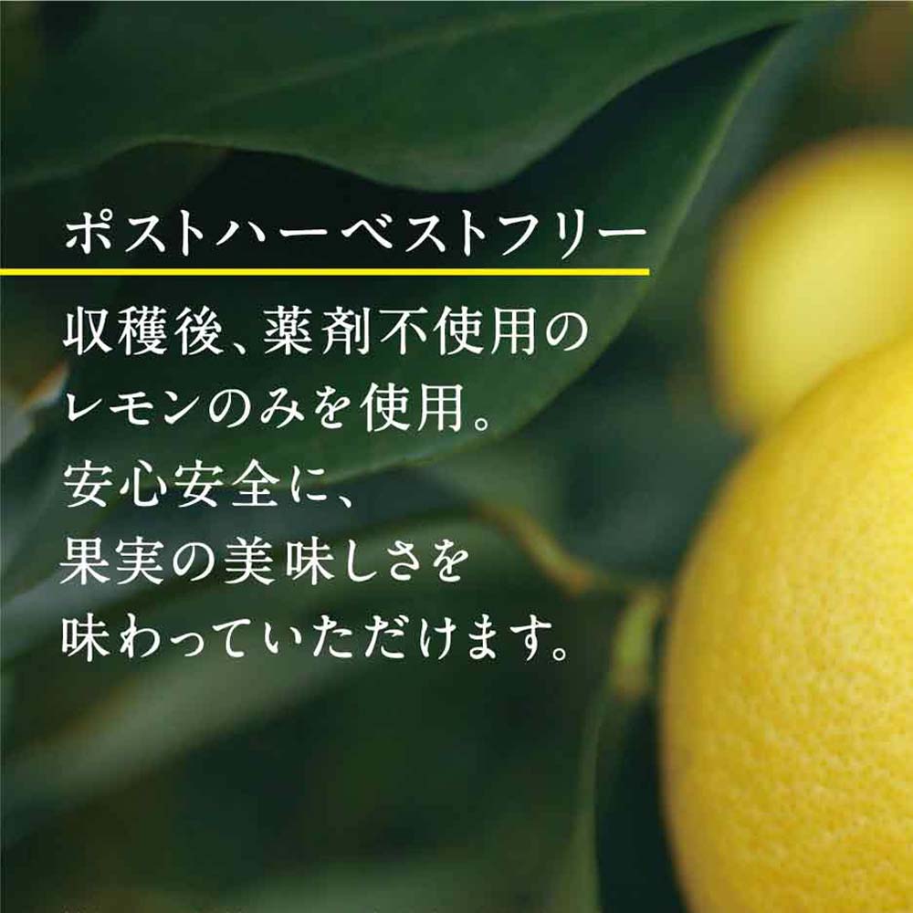 アサヒ 未来のレモンサワー プレーン 345ml缶｜格安・安いお酒の通販