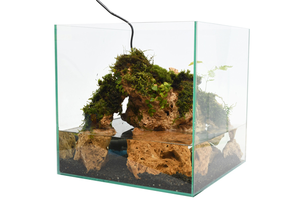 KBO 渓流や滝など 水の流れるアクアテラリウムのつくりかた: カミハタ