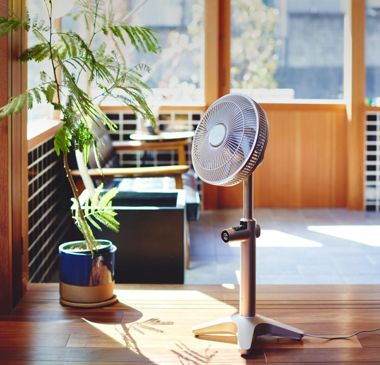 lite｜K-F25AY - Kamomefan(カモメファン)公式サイト