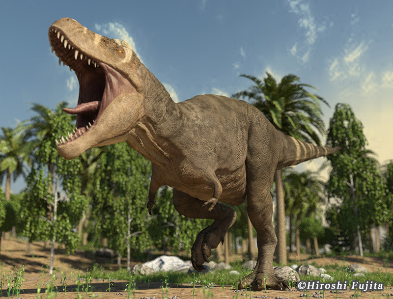 現在販売中のすべての化石,隕石,レプリカ,グッズの一覧です ｜ 化石