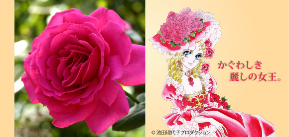 王妃アントワネット® - 商品ラインナップ - ベルサイユのばら - 京成