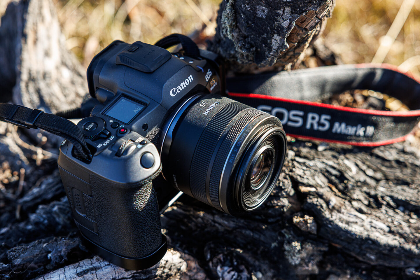 広大な景色も、足元の小さな自然も。キヤノン「RF35mm F1.8 MACRO IS