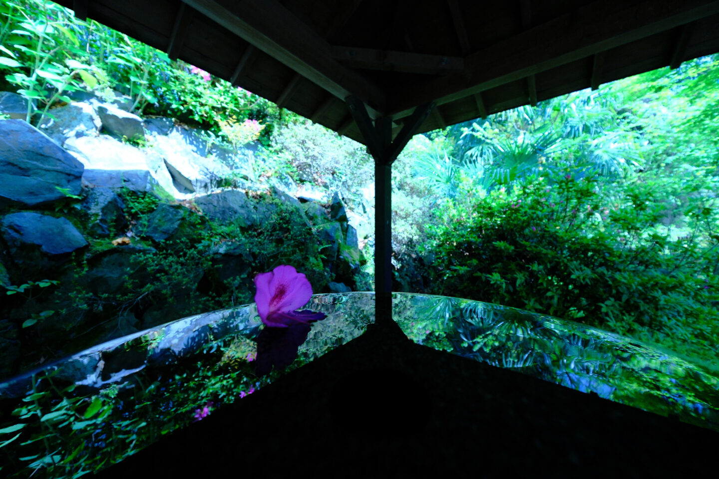 富士フイルム XF8mmF3.5 R WR レビュー｜肉眼をはるかに超えても常用