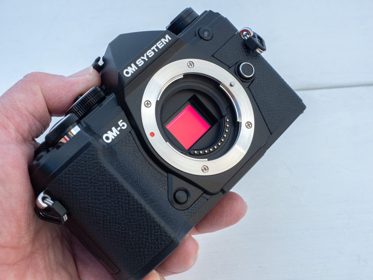 OM SYSTEM OM-5レビュー｜OMという哲学を纏ったフィロソフィモデル