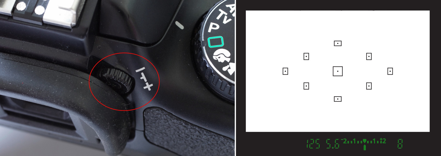 ネイチャースナップのすすめ｜格安中古で学ぶ一眼レフの基礎【ピント編