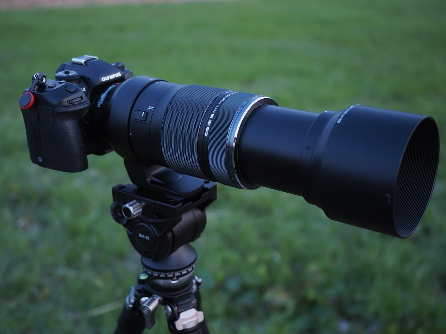 超軽量×超望遠 M.ZUIKO DIGITAL ED 100-400mm F5.0-6.3 IS レビュー