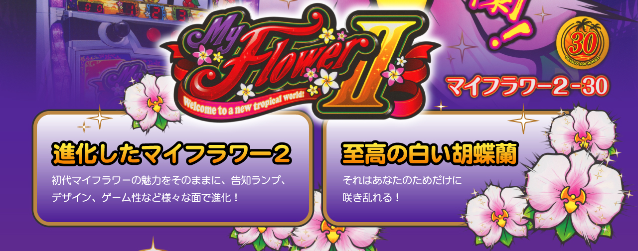 マイフラワー2-30／北電子スロットの情報サイト／キタック西日本販売