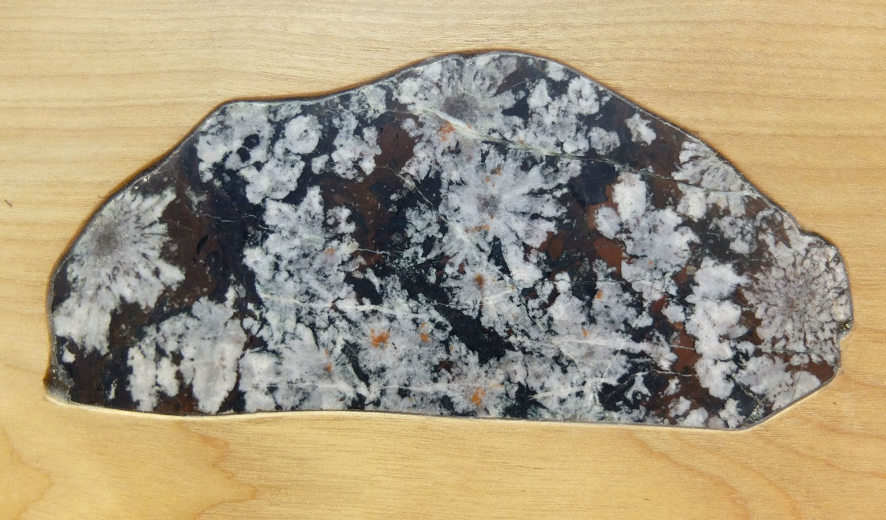 菊花石作品集 石の本と文鎮