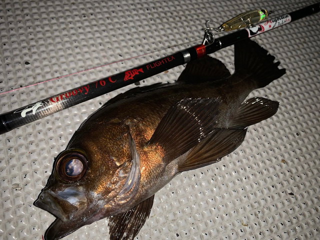 ツララ フライテクス グルーヴィ76C 【シーバスルアー専門店 キング