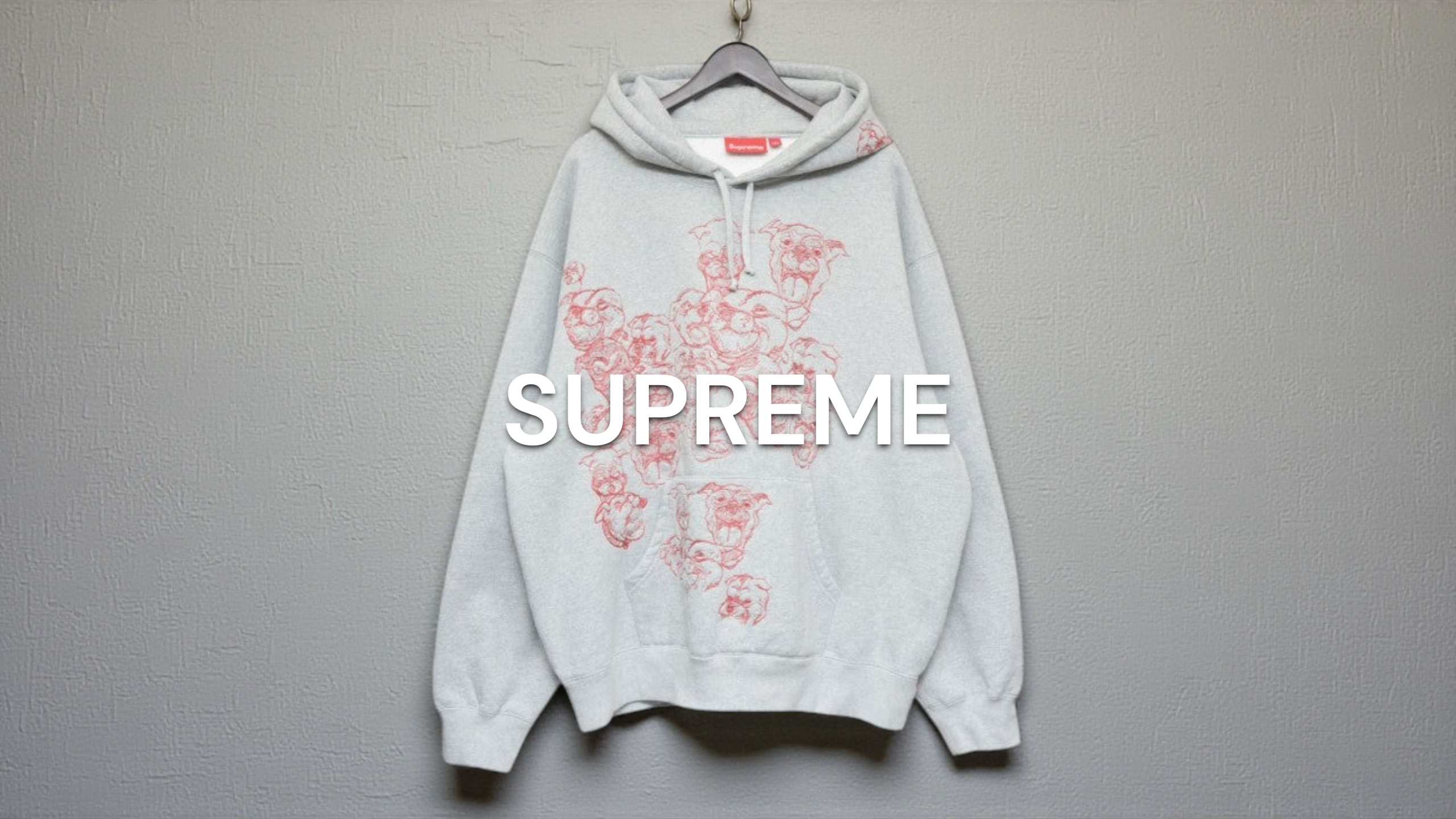 新入荷】SUPREME 25SS Pitbulls Embroidered Hooded Sweatshirt