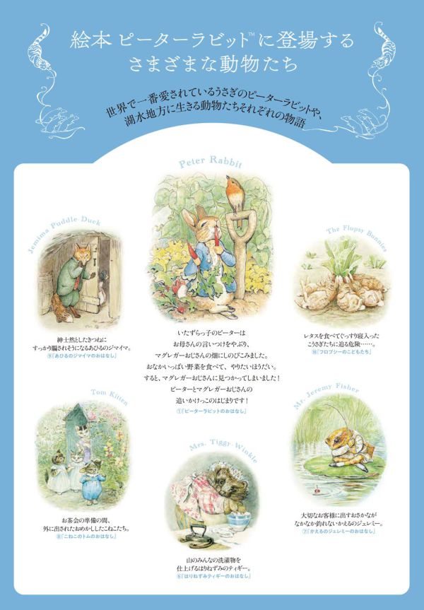 絵本ピ－タ－ラビット 全巻収納BOX付きセット（全23巻セット