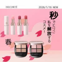 CHANEL デュオ イン バッグ セット シャネル デュオ イン バッグ セット<2023ホリデー>｜キレイエ